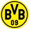 BVB trøjer